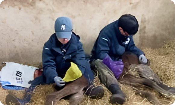 껴안아주기 등 둔감화 훈련 모습