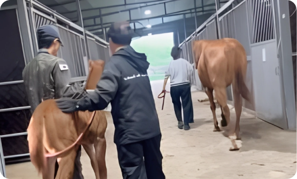 같이 걷기 훈련 모습