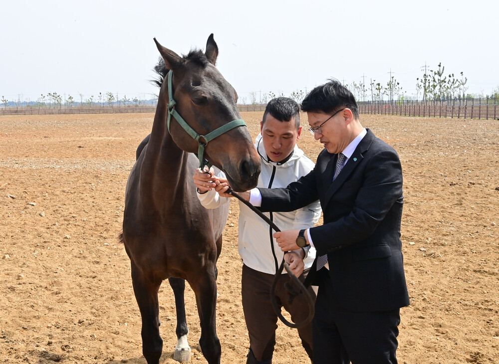 리비