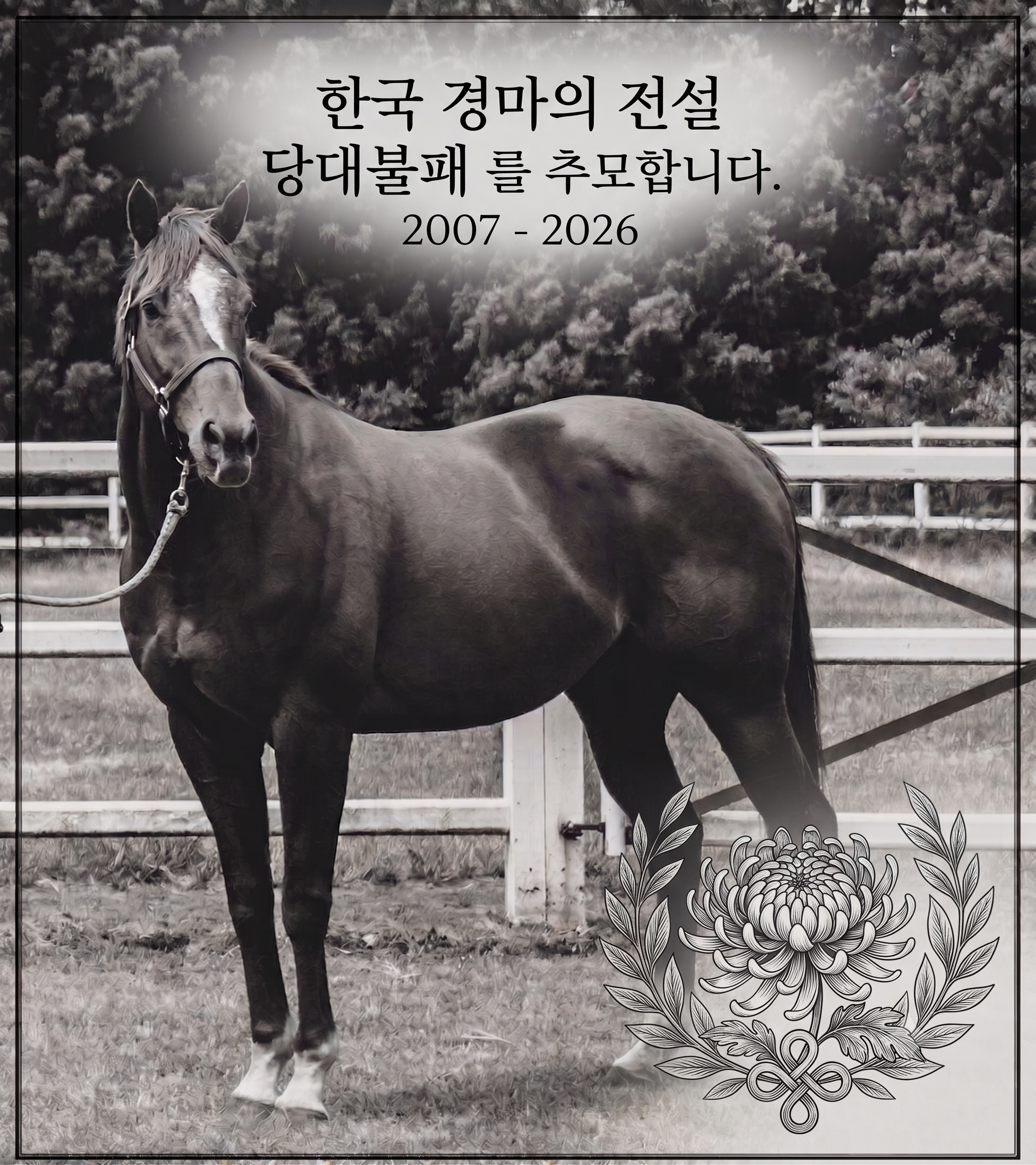 당대불패